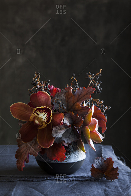 Autumnal flowers, orchids and succulents in vase