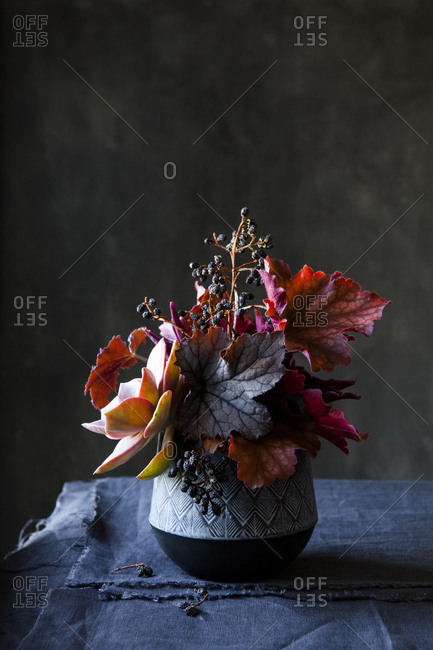 Autumnal flowers, orchids and succulents in vase