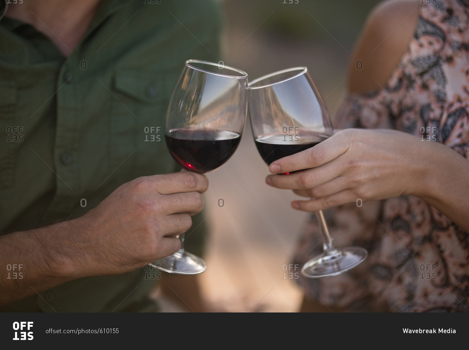 Mid-section of couple toasting glasses of wine during safari vacation