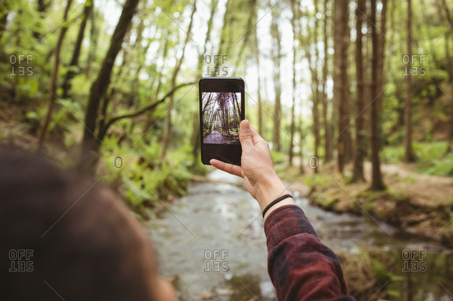 Cropped hand of woman photographing from mobile phone at forest