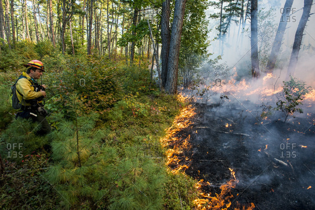 September 26, 2014: The Slow And Steady Progress Of A Controlled Burn In Madison, New Hampshire