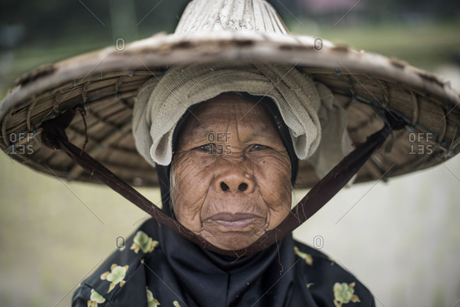 rice field worker