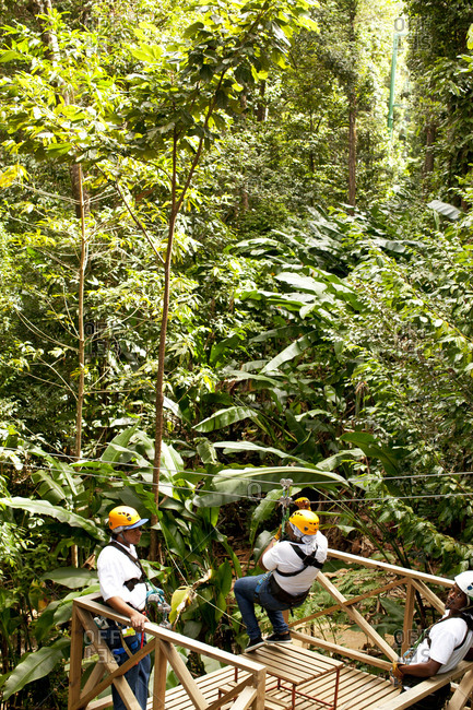 Saint Lucia - March 5, 2011: People zip lining in jungle