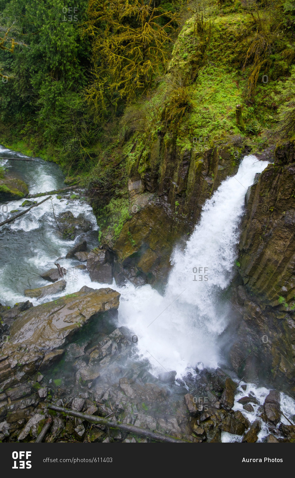 High angle view of Drift Creek Falls waterfall splashing, Oregon, USA