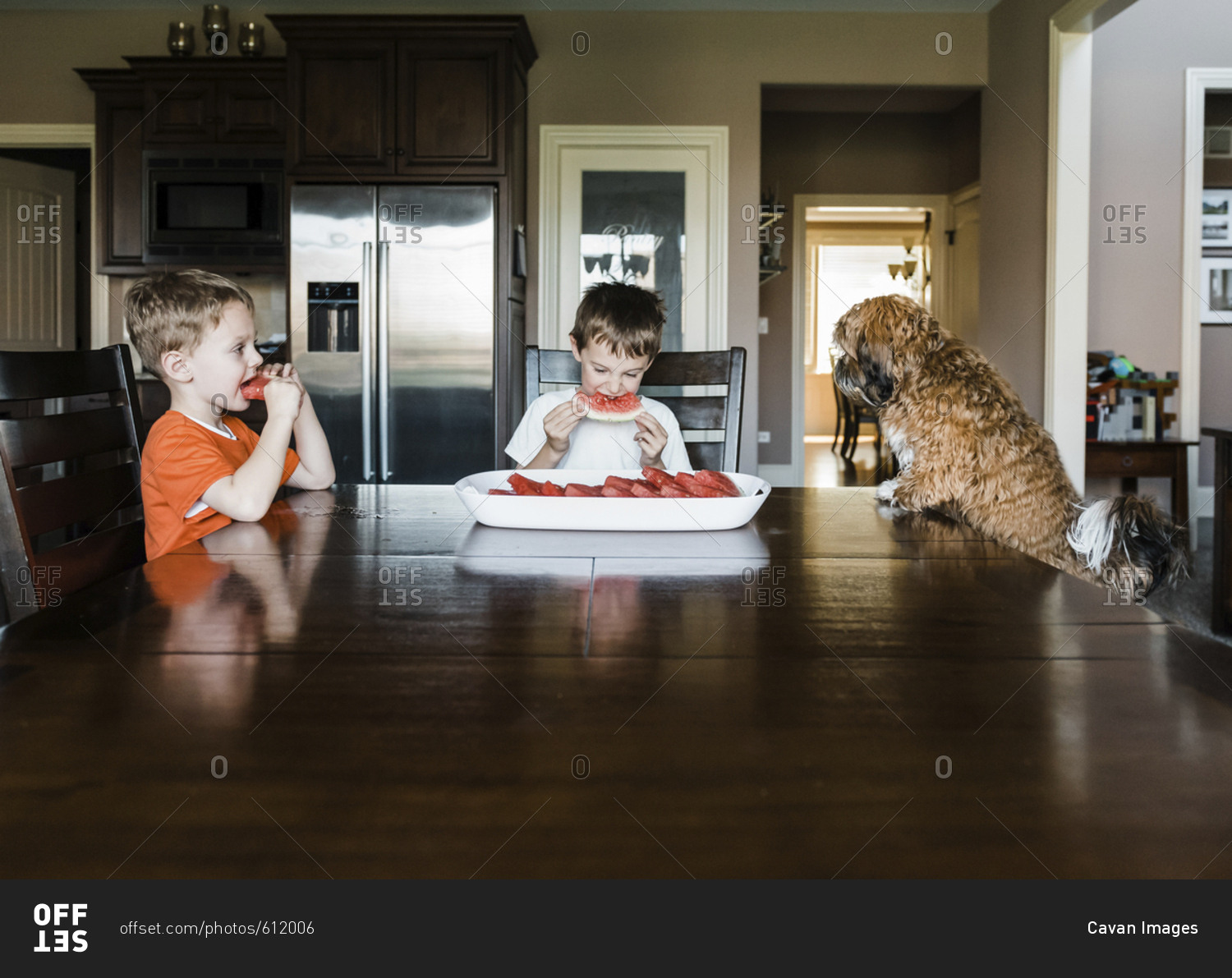 Brothers eating watermelon while sitting with dog at table