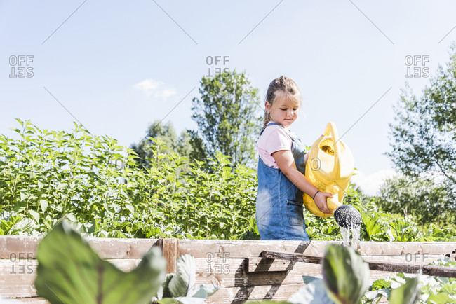 Girl in the garden watering plants