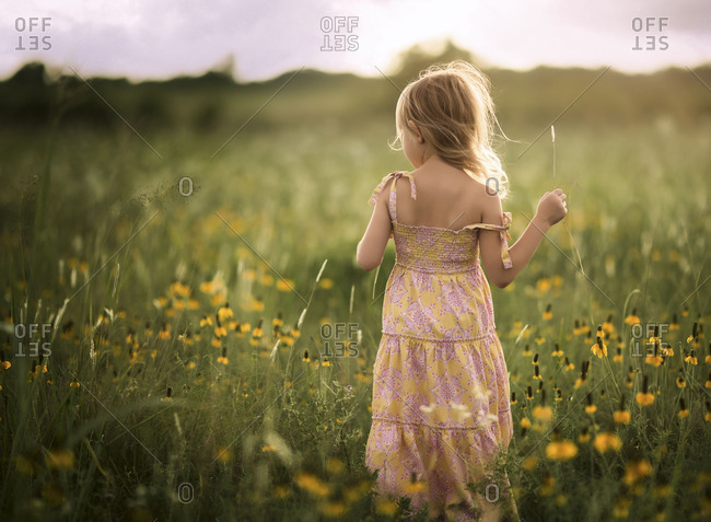 Child in a field of wildflowers