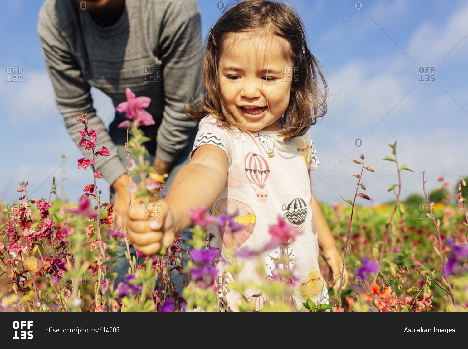 Father with daughter (2-3) picking flowers in meadow