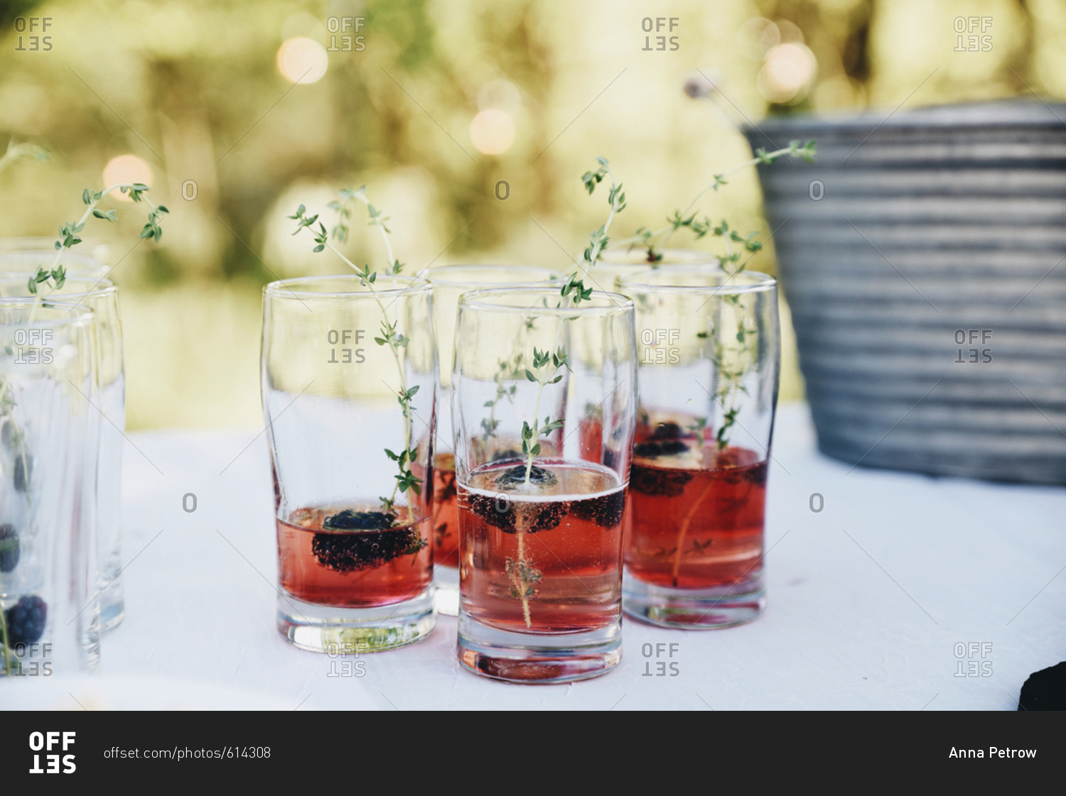 Drinks served with blackberries and garnished with herb sprig