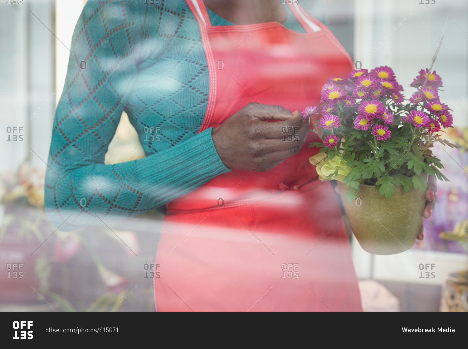 Female florist holding pot plant at his flower shop