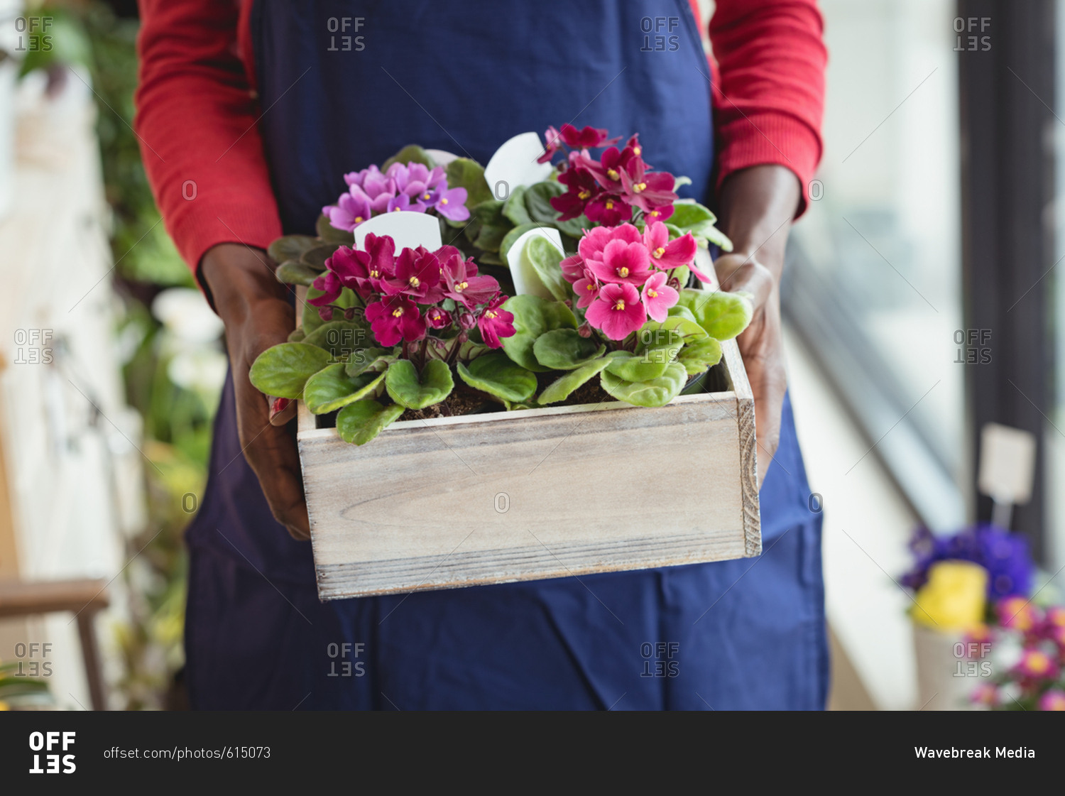 Female florist holding pot plant at his flower shop