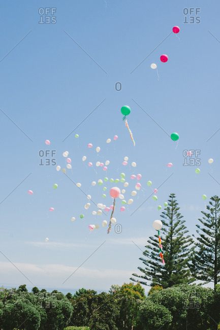 Balloons released during an outdoor wedding