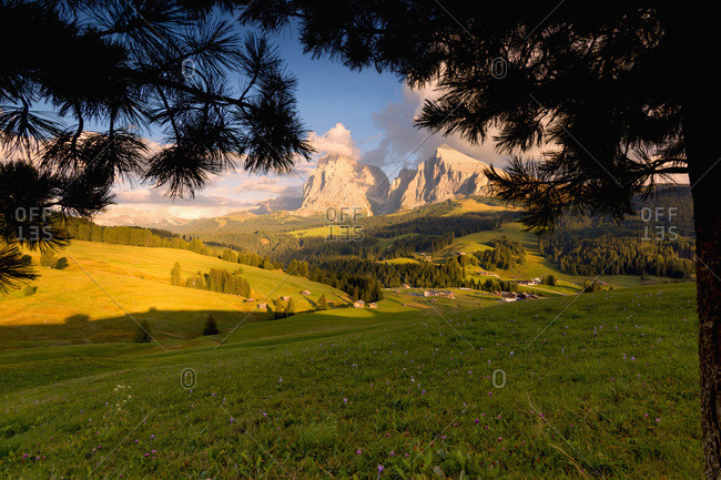 Italy, Trentino-Alto Adige, Bolzano district, South Tyrol, Alpe di Siusi, Alps, Dolomites,