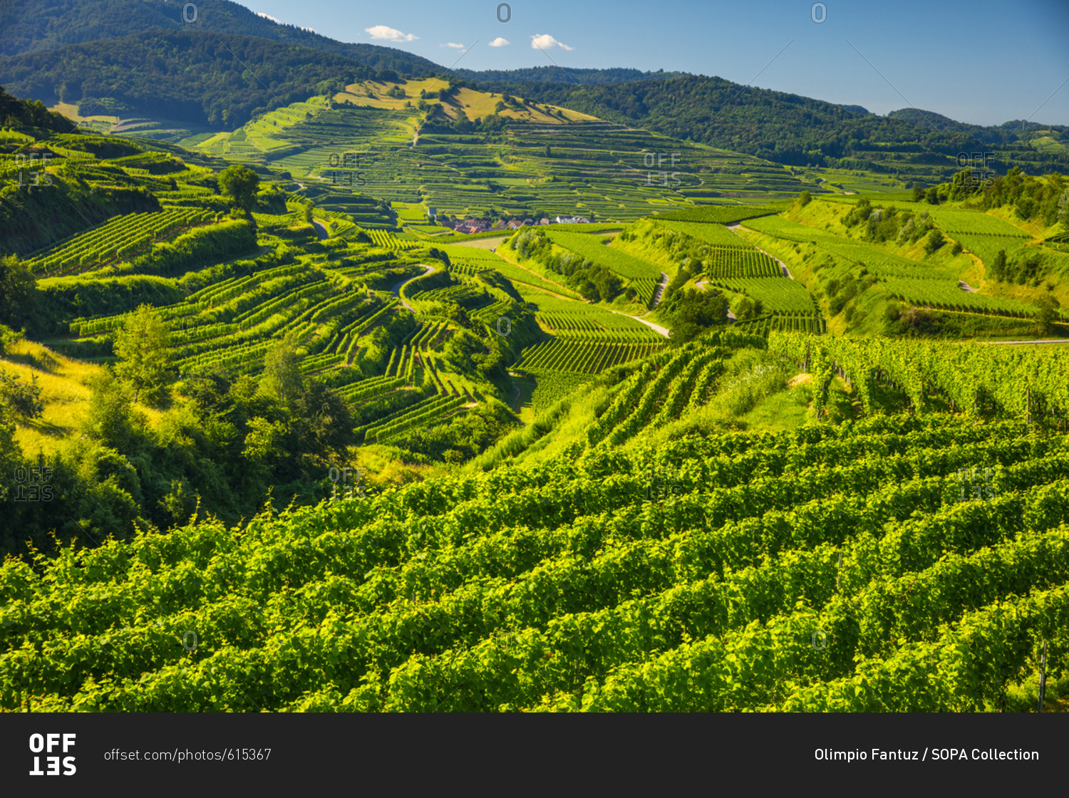 Germany, Deutschland, Baden-W rttemberg, Black Forest, Schwarzwald ...