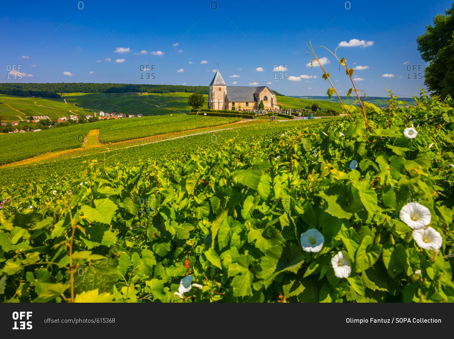 France, Grand Est, Chavot-Courcourt, Champagne, Marne, Chavot church and Champagne vineyards in summer