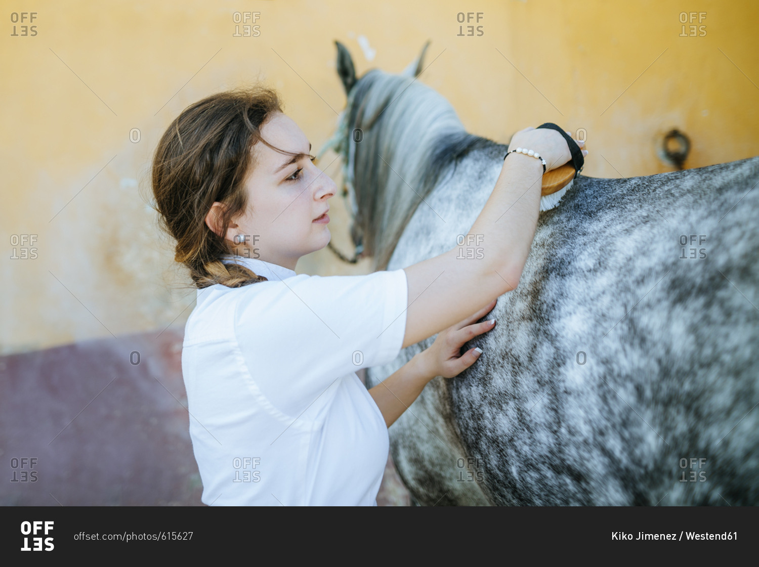 Young woman grooming horse
