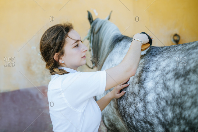 Young woman grooming horse