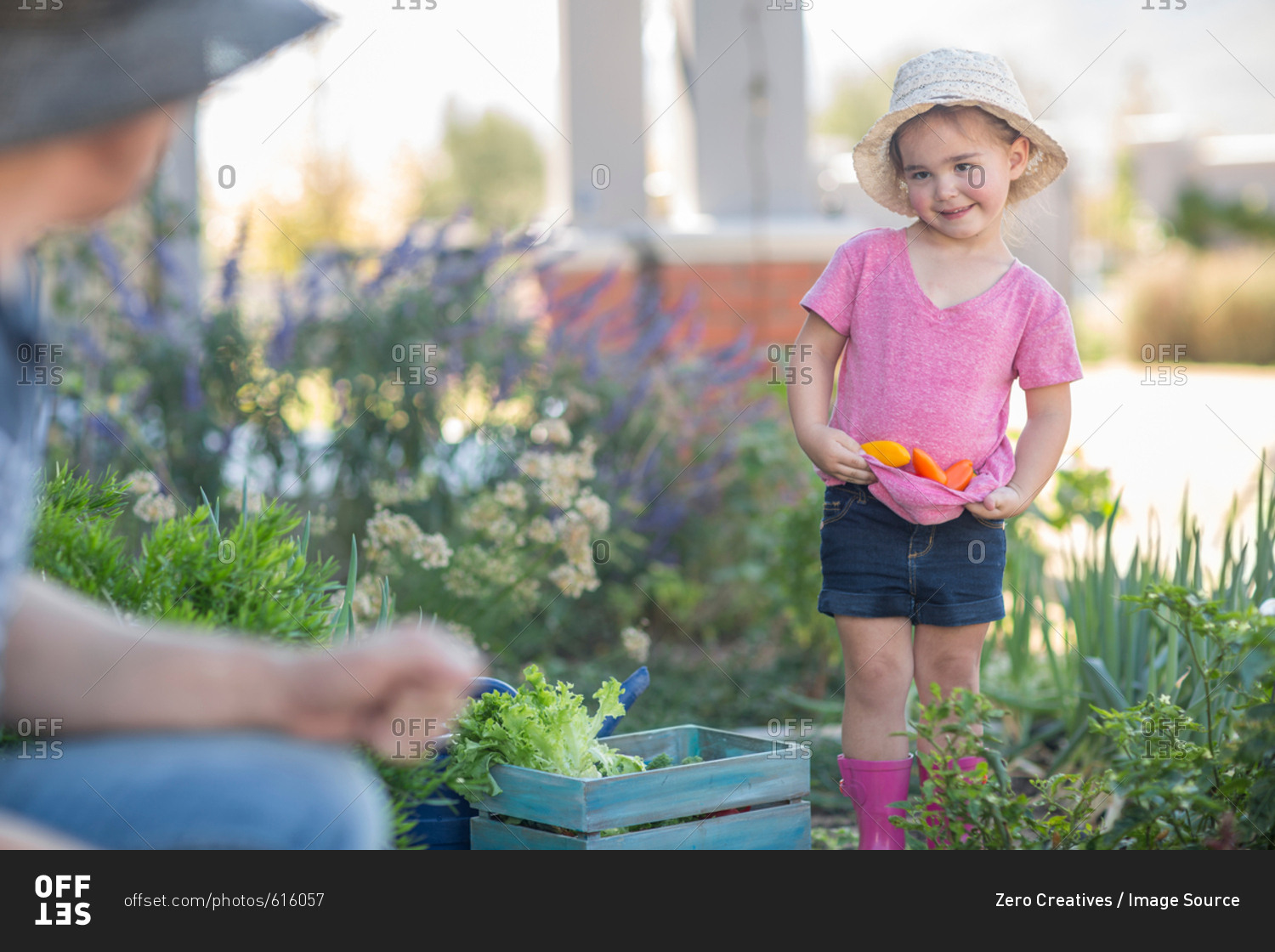Father and daughter in garden, daughter collecting vegetables in t-shirt