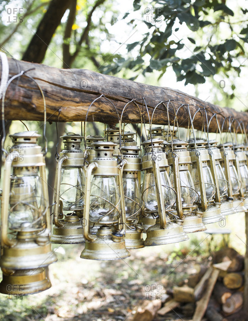 Oil lamps hanging on a tree at Sher Bagh during the day before they are lit up in the evening to light the camp