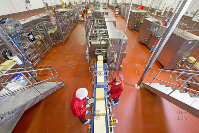 High angle view of workers with digital tablet checking large blocks of cheese at production line in processing plant