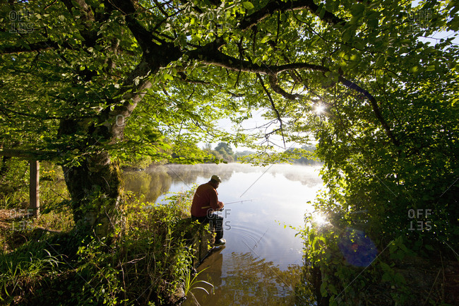 Fisherman carp fishing at tranquil lakeside among green trees