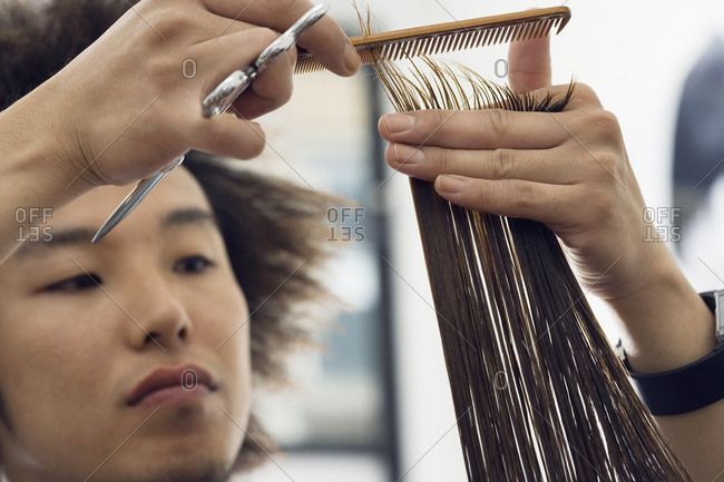 Young male hairdresser cutting woman's hair in salon, close-up, focus on foreground