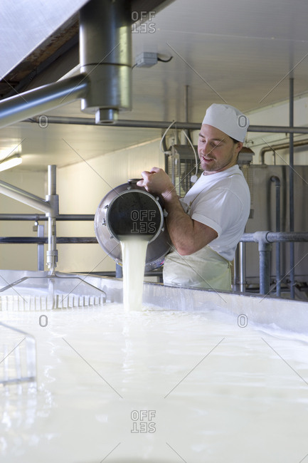 Cheese maker mixing rennet  with milk in vat to begin cheddar cheese making process