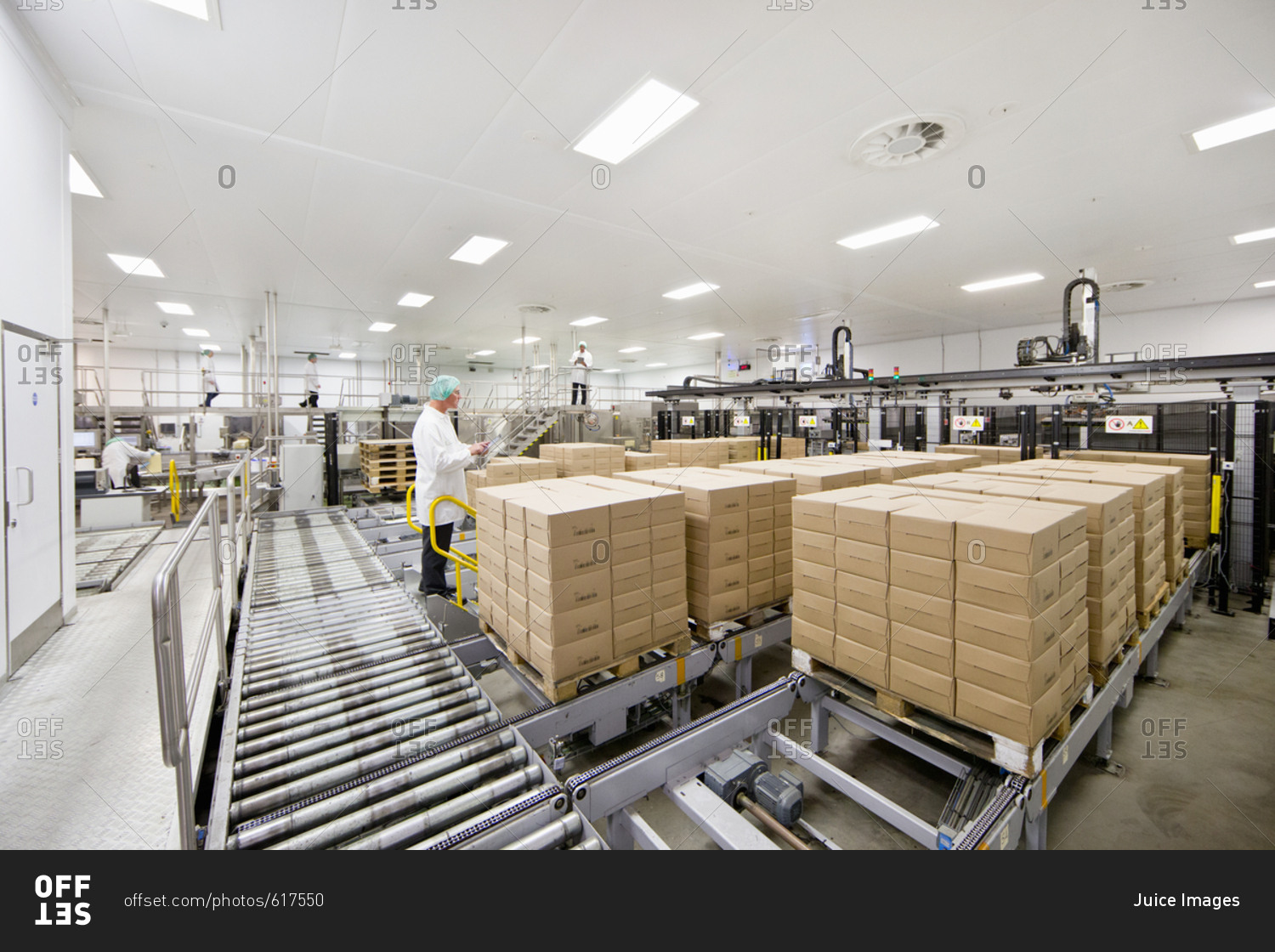 Worker behind boxes at food packaging production line