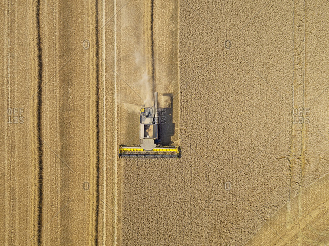 Aerial View Of Combine Harvester Harvesting Wheat Crop