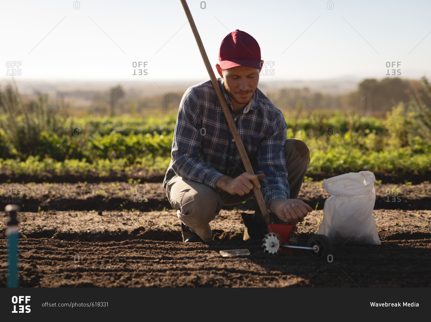 Farmer putting seeds in hand tool on a sunny day stock photo - OFFSET