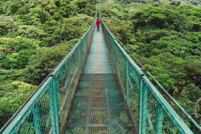 View of incognito person in red standing far away on bridge in jungle Copy space