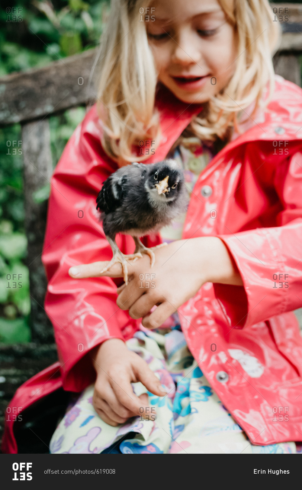 Girl with a baby chick on her finger