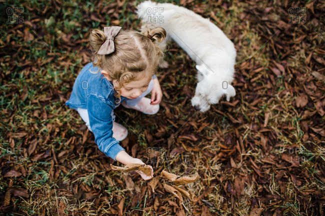 Little girl looking at fallen leaves with her dog