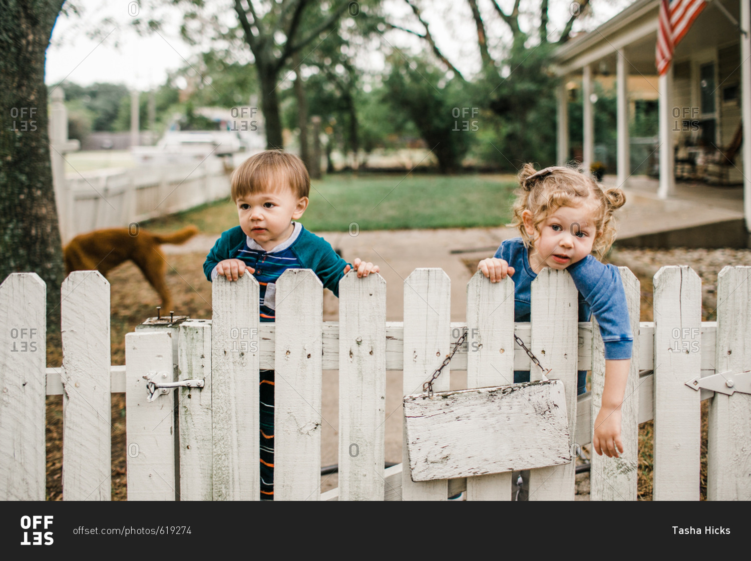 Two kids climbing on a white picket fence gate stock photo - OFFSET