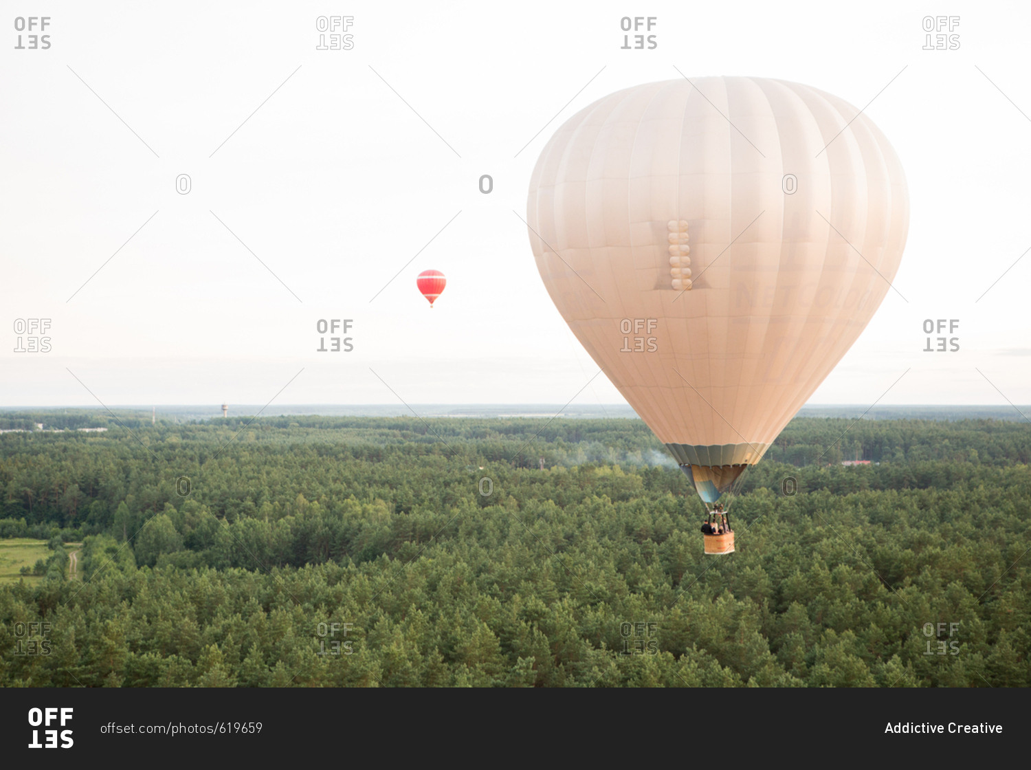 Air balloons on landscape