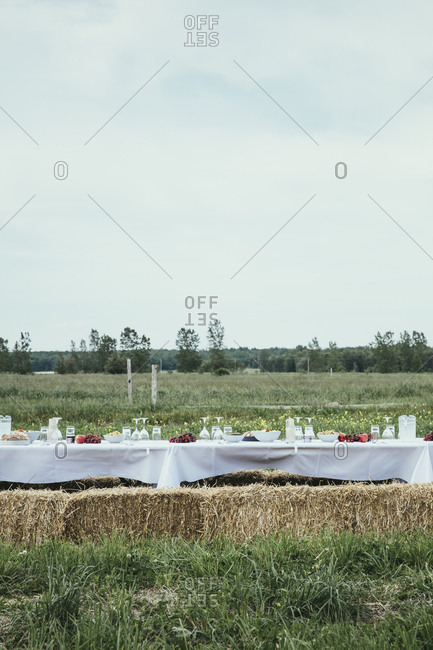 Dinner table in the field