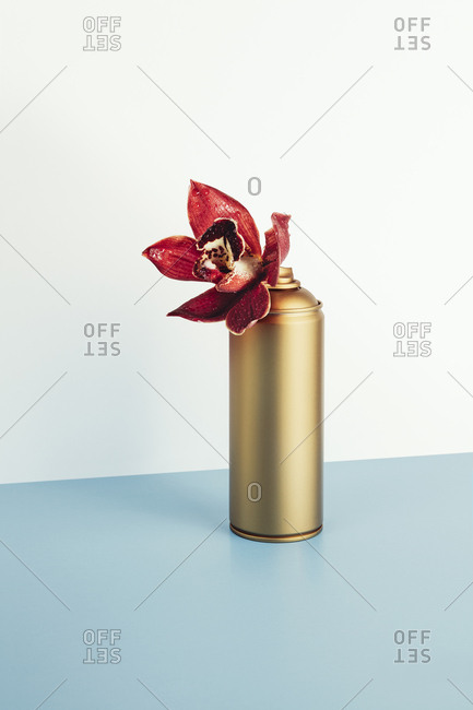 Orchid spray can