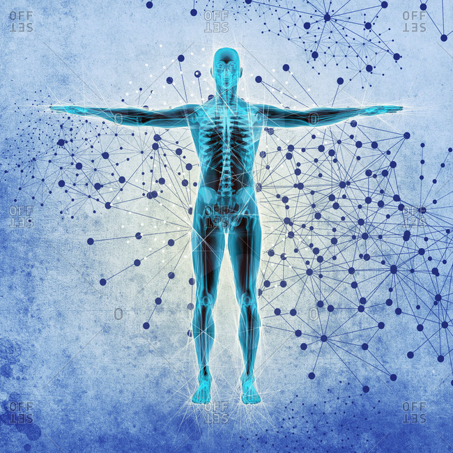 Atomic structure of the body, illustration