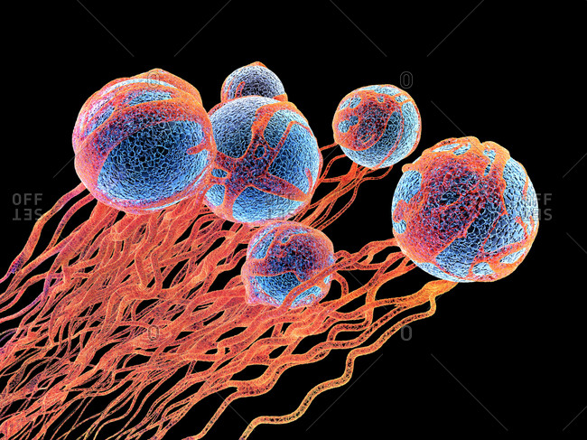 Cancer cells, illustration