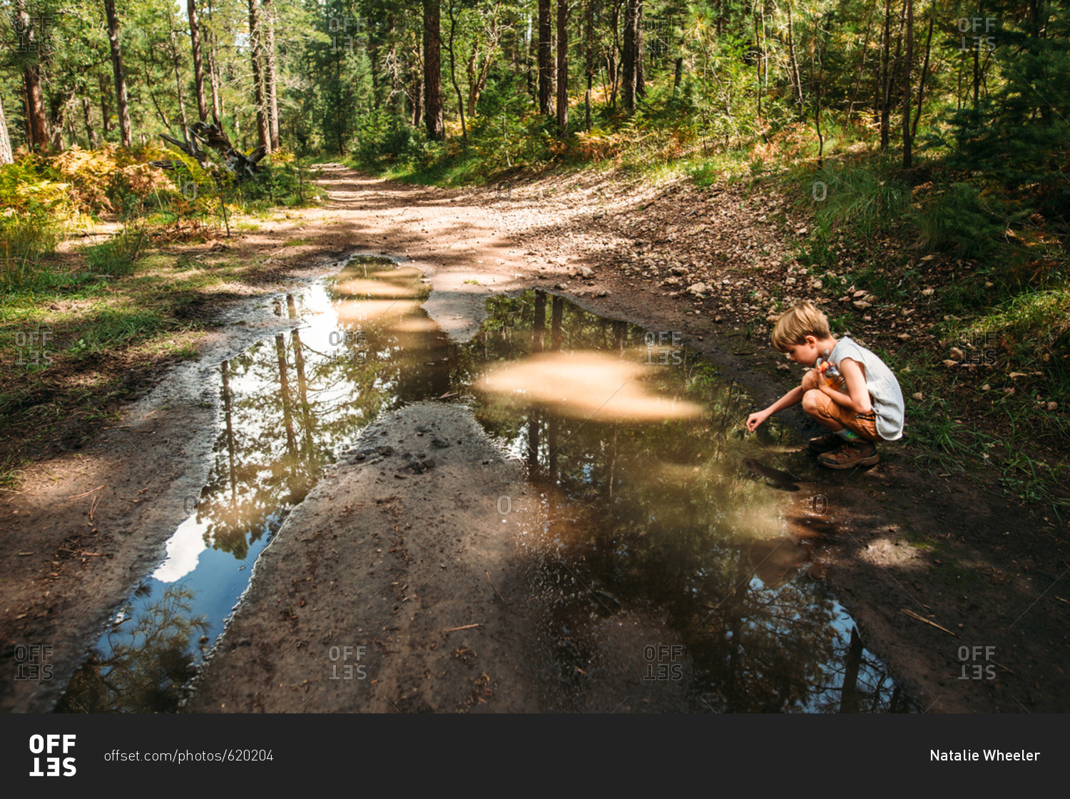 Boy exploring mud puddle on dirt path in the forest