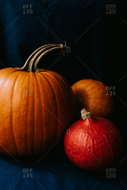 Three Halloween pumpkins on dark blue background