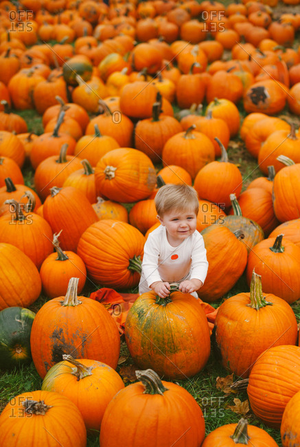 Baby in a field filled with pumpkins