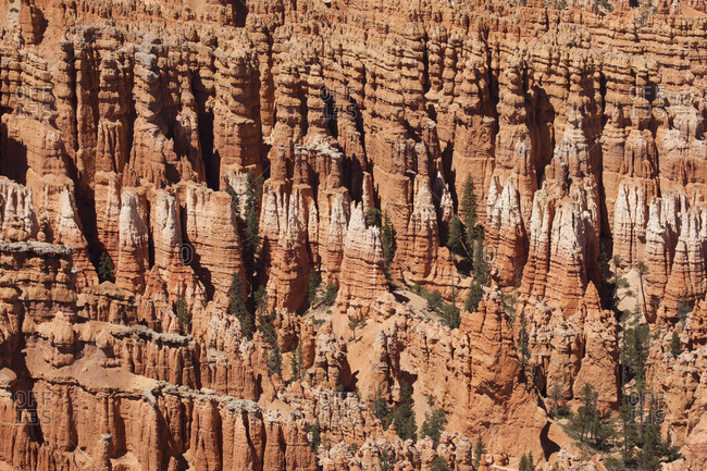 Hoodoos of Bryce Canyon