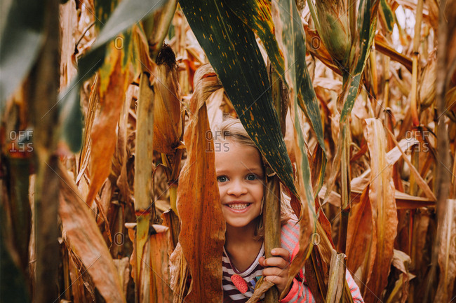 Toddler hiding in cornstalks