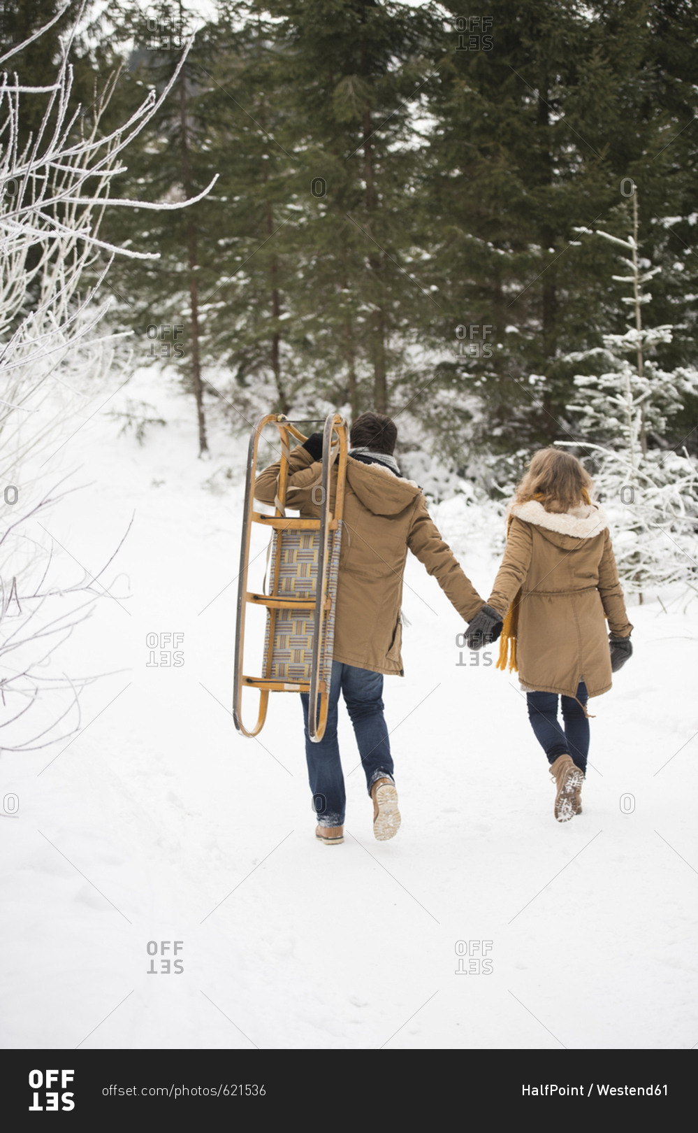 Back view of young couple with sledge in winter forest