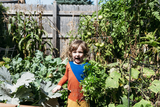 Child in a vegetable garden