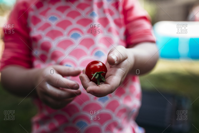 Child holding a ripe tomato