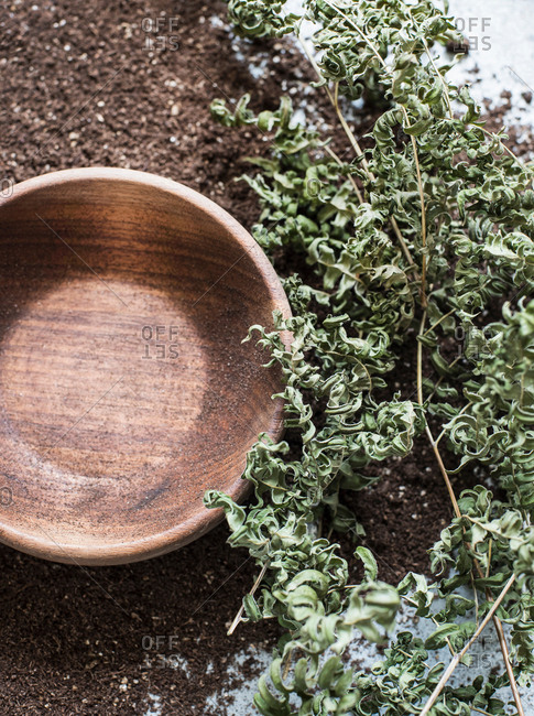 Composition of wooden bowl, earth and dry ferns