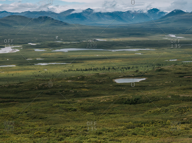 Green prairie in mountains
