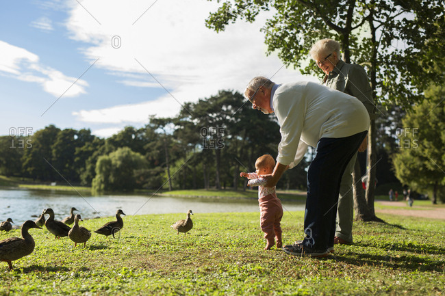 Grandparents with granddaughter feeding birds in park
